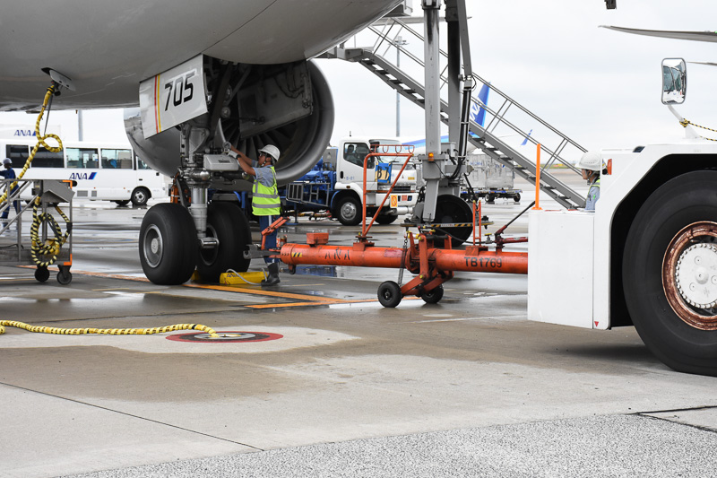 フライトまでの様子を追った。トーイングカーが機体に近づいていく