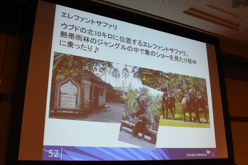 川に海にジャングルに、アクティビティもたくさん