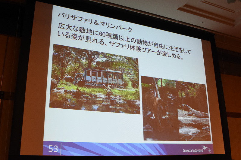 川に海にジャングルに、アクティビティもたくさん