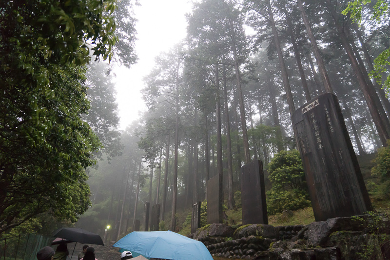 境内を進む。大きな木々が連なる