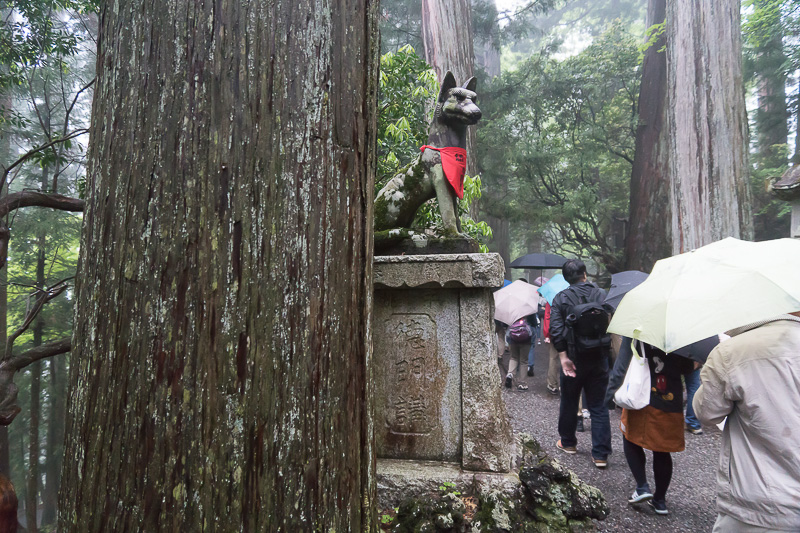 山犬と古木に見守られる参道を進む
