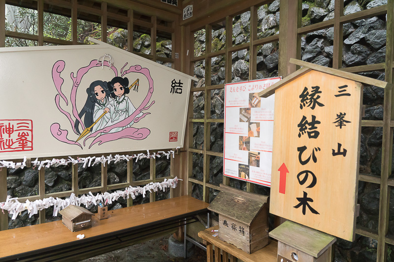 拝殿より徒歩10分程度の少し離れた場所の「縁結びの木」は、「恋みくじ」がありカップルに人気のスポット