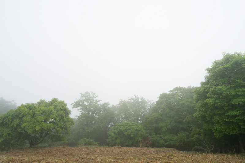 少し離れた場所にある三峯公園展望の丘方面に来てみたが、やはり晴れ間はなかった。晴れていれば秩父盆地を眺望できるスポット