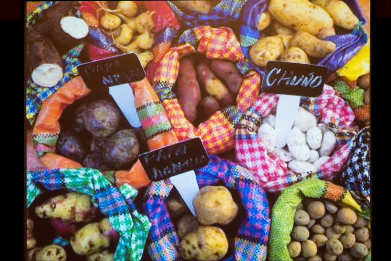 ペルー原産のジャガイモは、さまざまな品種が栽培されており、ポテト用やサラダ用など使い分けるそうだ