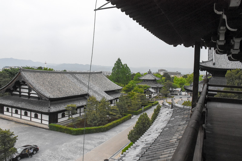 先ほどの禅堂を見下ろしたところ