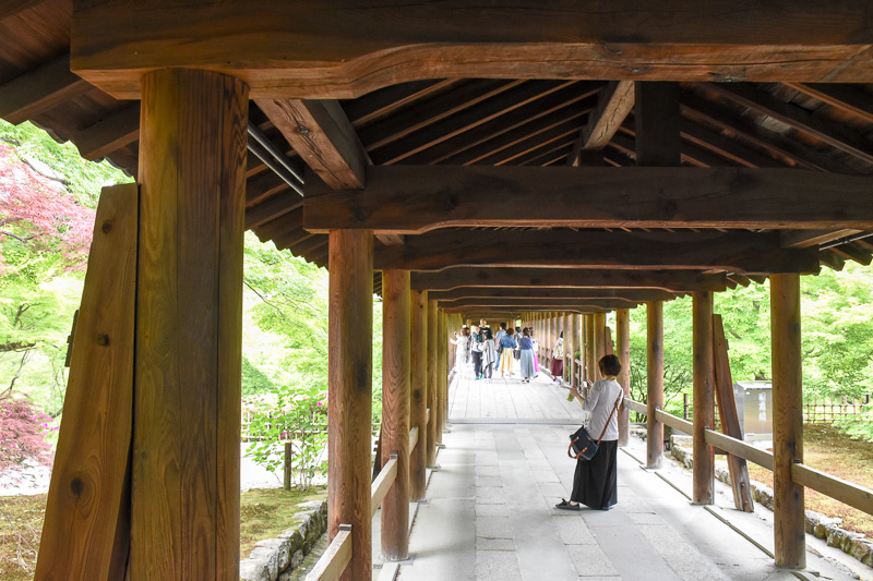 両脇をカエデの林に囲まれた通天橋。ちょうど目の高さに新緑（ないし紅葉）の生い茂る様が見えて美しい