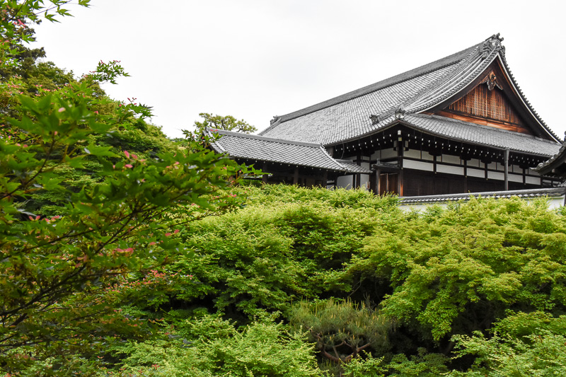 通天橋から偃月橋（重文）を見上げたところ。偃月橋は日本で初めて屋根を付けた橋だという