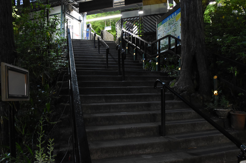 叡電の貴船口駅。階段の脇にはカエデの形にくりぬいた竹筒風の照明が並んでいる