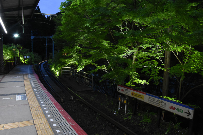 18時以降にライトアップが行なわれる。一部は展望列車きららで運行しており、側面の窓の開口部が天井近くまで大きく取られている