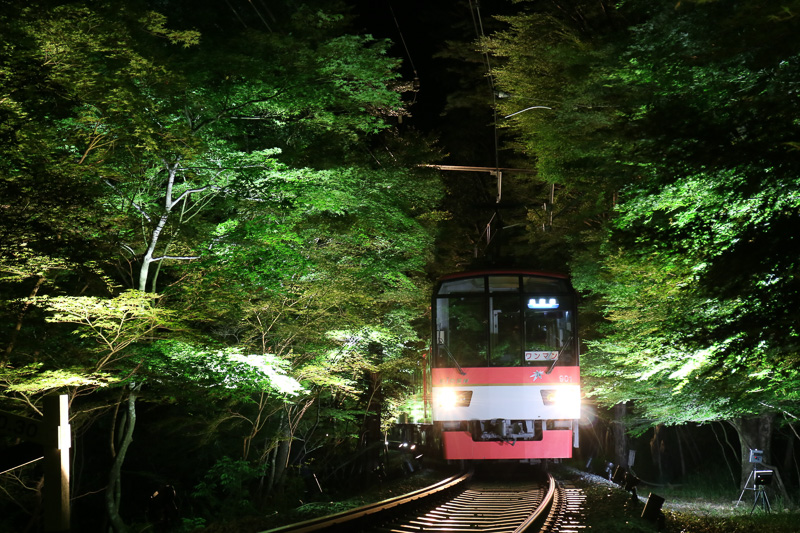 照明を落とした車内で幻想的な雰囲気を味わえる（写真提供：JR東海）