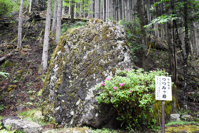庭石として使われる貴船石の非常に大きなもの
