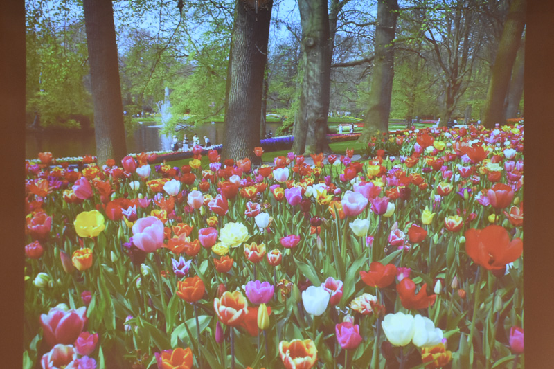 日本のようにしっかりと四季がある。オランダとベルギー（の北部）は海抜が低めで、水辺が美しいという