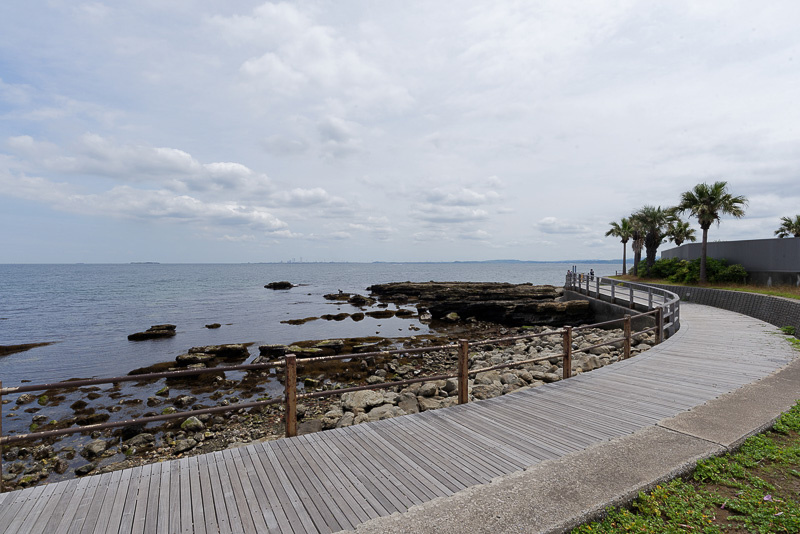 柵の向こう側は海岸と遊歩道