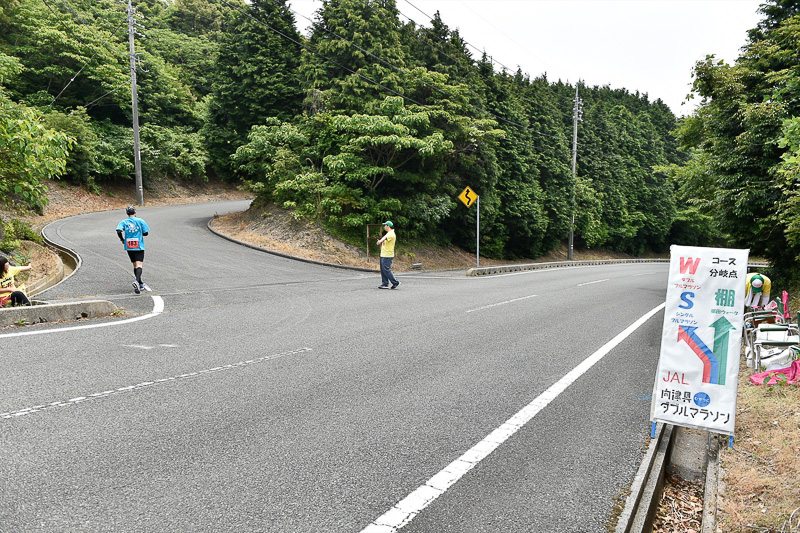 千畳敷エイドを出てすぐには分岐ポイントがあり、左がマラソン、棚田ウォークは直進となる