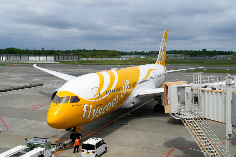スクートは、LCCながら全機ボーイング 787型機を使用。最新鋭機を使用することで、ほかのLCCとは異なる快適さを実現している