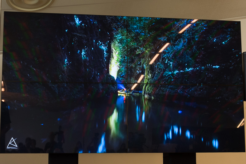 日没後に出発することで、ツチボタルをより環境で見ることができる