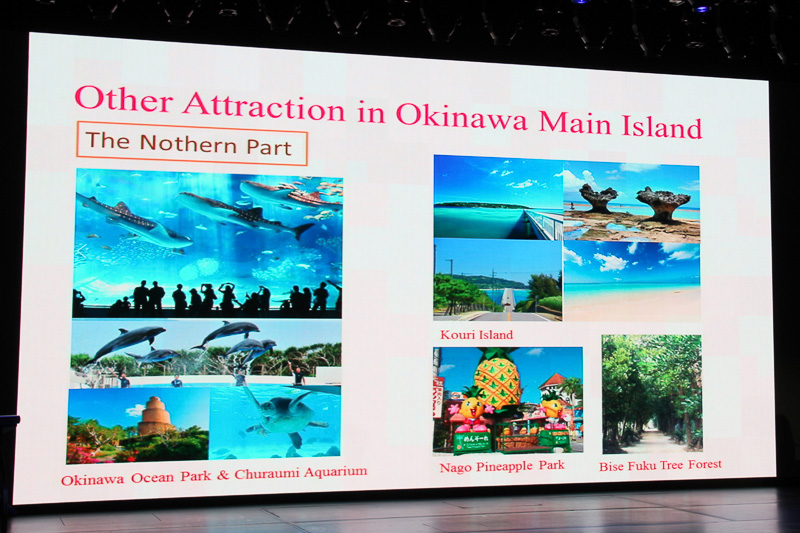 沖縄本島では美ら海水族館や絶景として有名な古宇利島（こうりじま）などをピックアップした