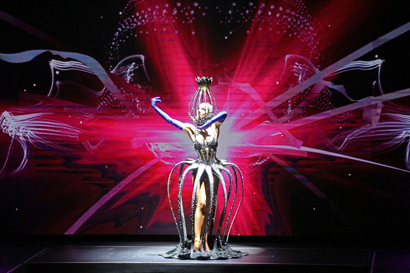 パフォーマーの表現が豪華な衣装、背景、音楽とシンクロして展開していく