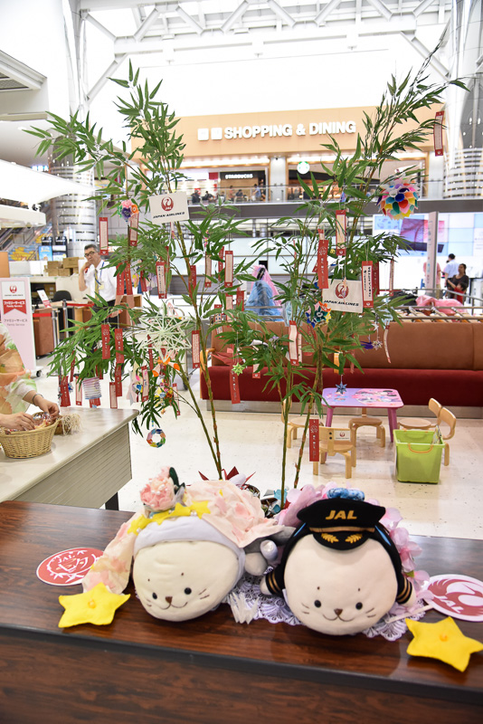 国際線チェックインカウンター横に用意された笹竹。織姫、彦星に変身した「しろたん」と一緒にうちわ片手に写真も撮影可能