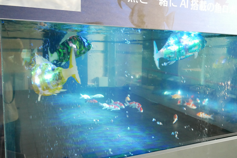 AI搭載の魚型ロボット「MIRO」が本物の魚と一緒に泳ぐ水槽
