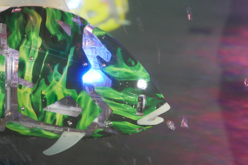 身体や目にはLEDが搭載され、鮮やかに光りながら泳ぐ