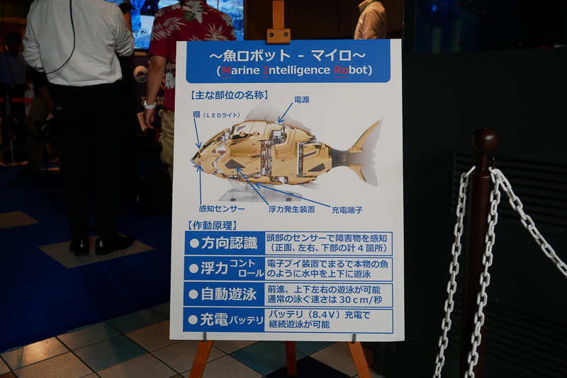 MIROにはセンサーが搭載され、障害物を感知しながら上下左右に本物の魚のように泳ぐ