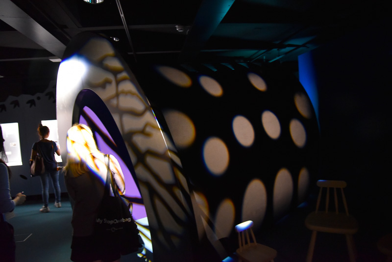 飛行おにのシルクハットの中に入ってみると、角が生えてしまった<BR/>（C）Moomin Characters<sup>TM</sup>