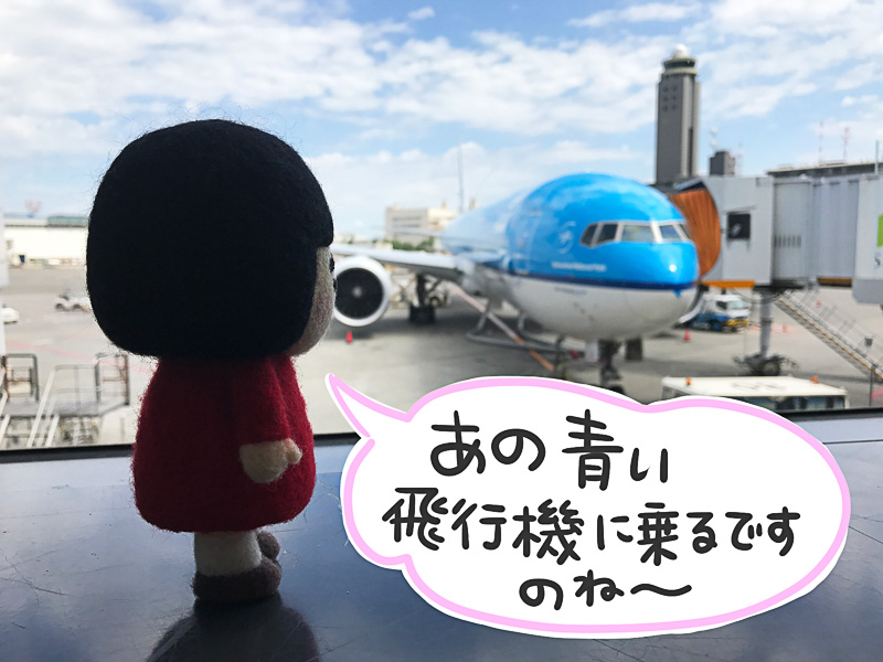 搭乗機はボーイング 777-300型機
