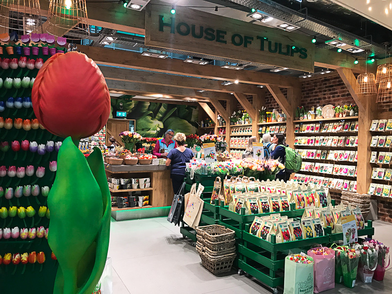チューリップの球根を売るお店！　さすがオランダ