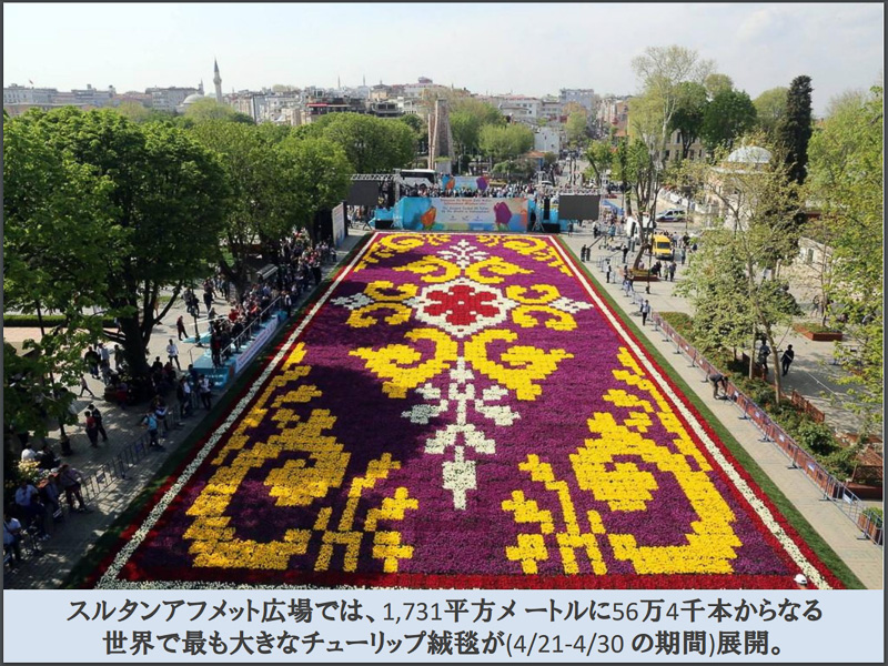 ギュルネハ公園のスルタンアフメット広場ではチューリップのみで作られたチューリップ絨毯が展開される