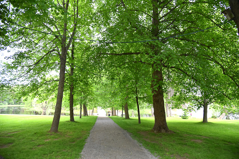 ノルディックウォーキング・ポールで敷地内の島へ出発