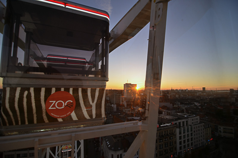 回転が速い！　3～4周する！