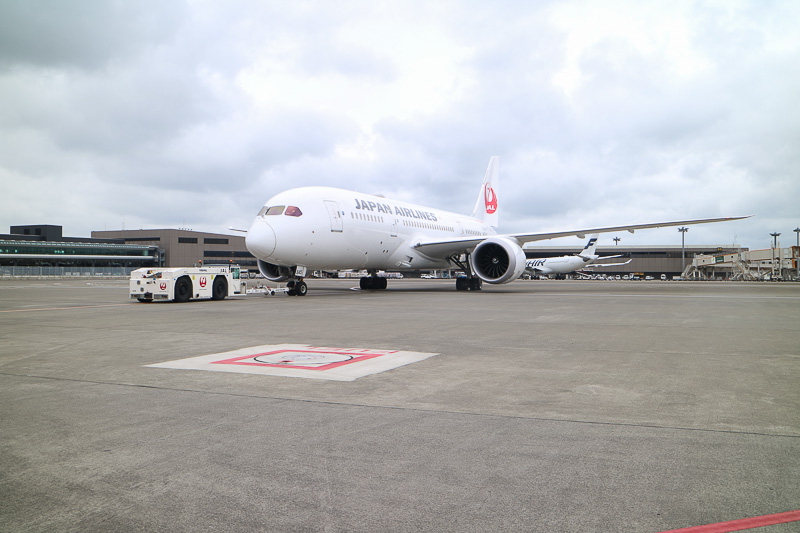 JL773便は定刻どおり10時30分にプッシュバックを開始