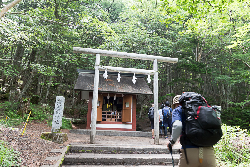 シラビソ、コメツガ、カラマツなどが生い茂る、古御嶽神社の脇を通り抜けていく