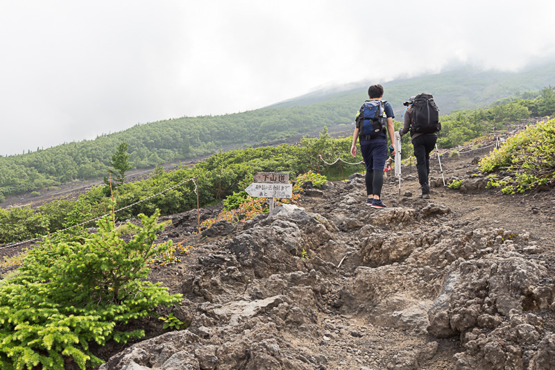 ところどころで開けるが、あいにくの雲で頂上は見えない
