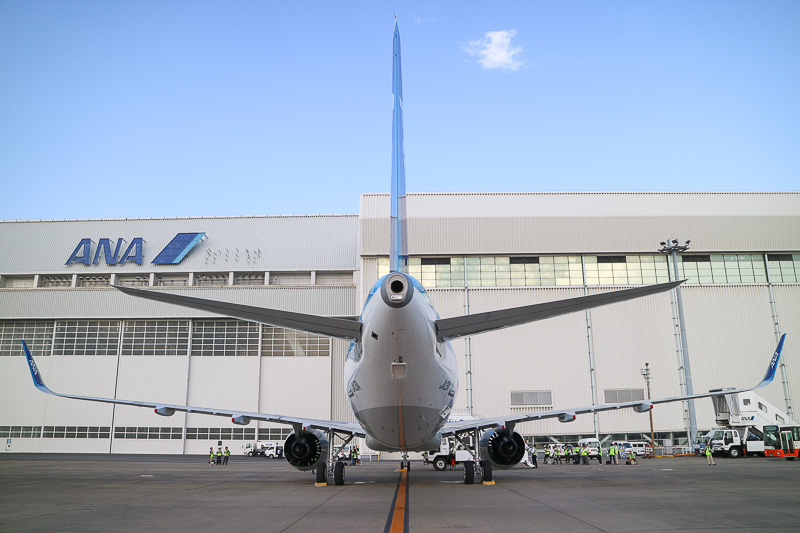 エアバス A321neo型機を後方から見たところ