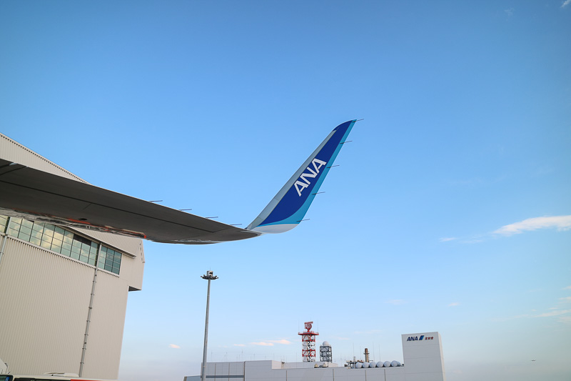 シャークレットと呼ばれる主翼の端が反った特徴的な形状。外側からも、機内からも見えるよう、両面にANAのロゴが施されている