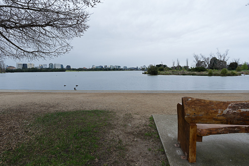 静かな湖がサーキットの中央に