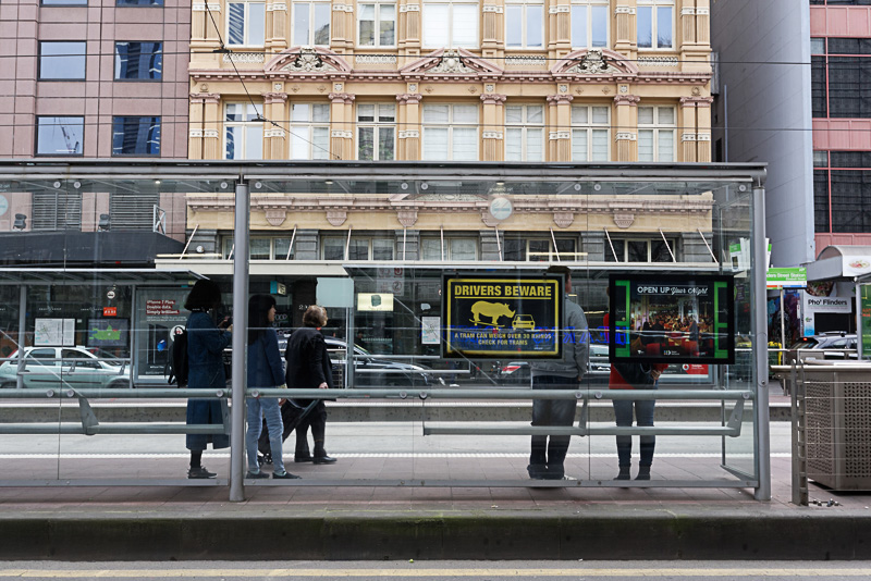 トラムの重さはサイ30頭分。クルマで戦っても簡単に負けるので、ぶつからないよう要注意