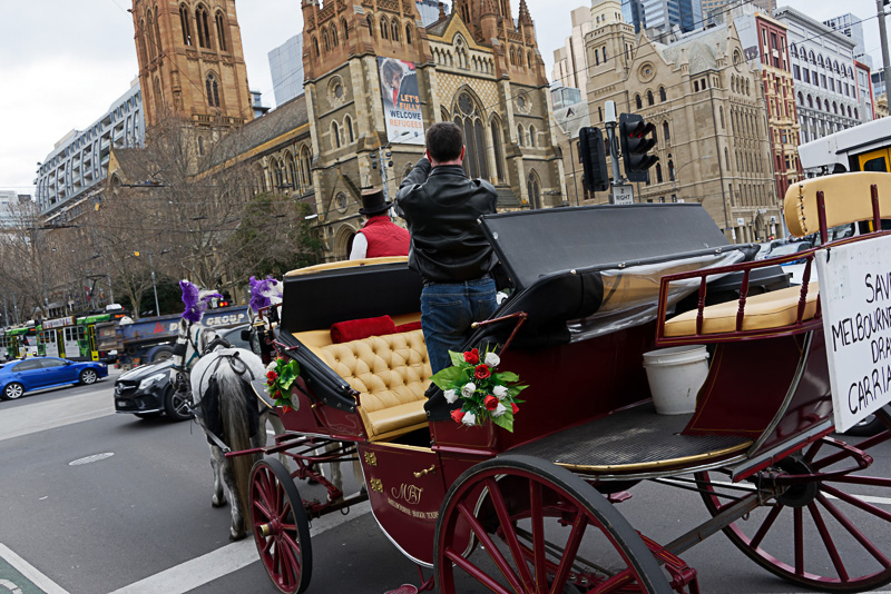 馬車、という移動手段もある