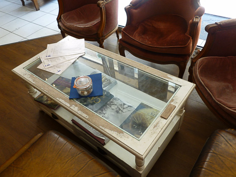 ほぼすべての写真のどこかに猫がいます！