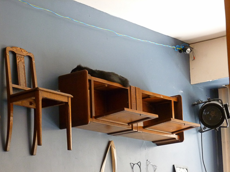 ほぼすべての写真のどこかに猫がいます！