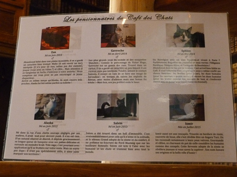 飼われている猫たちのプロフィールが書かれています