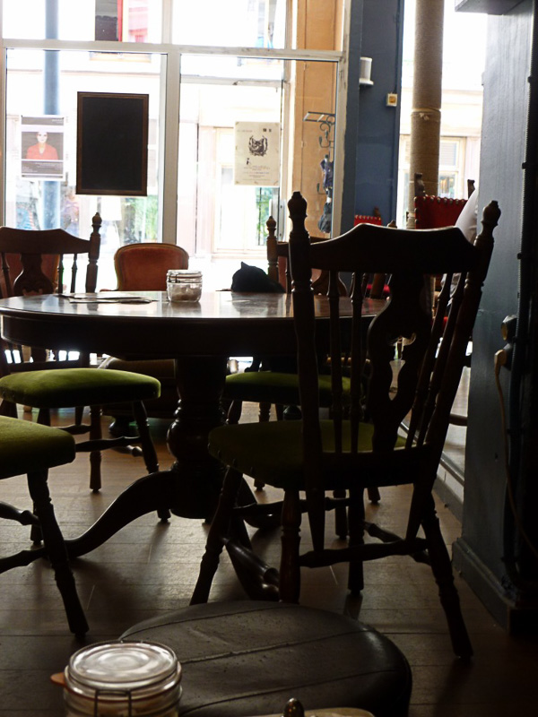 近づいてきたのはこの子