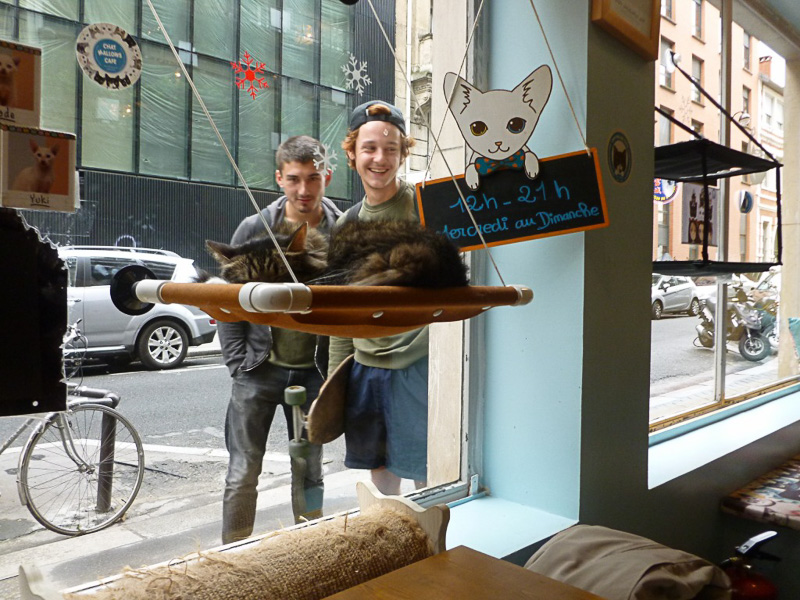 道行く人も思わずニッコリ