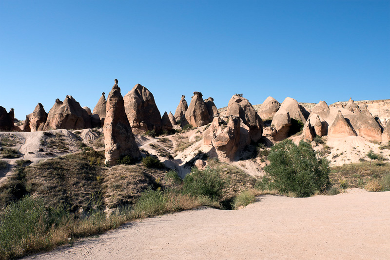 エリンギやしめじのような形をした岩も