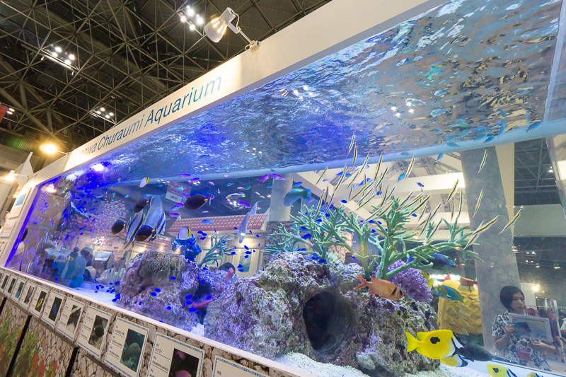 沖縄ブースに展示された熱帯魚が泳ぐ沖縄美ら海水族館の巨大水槽
