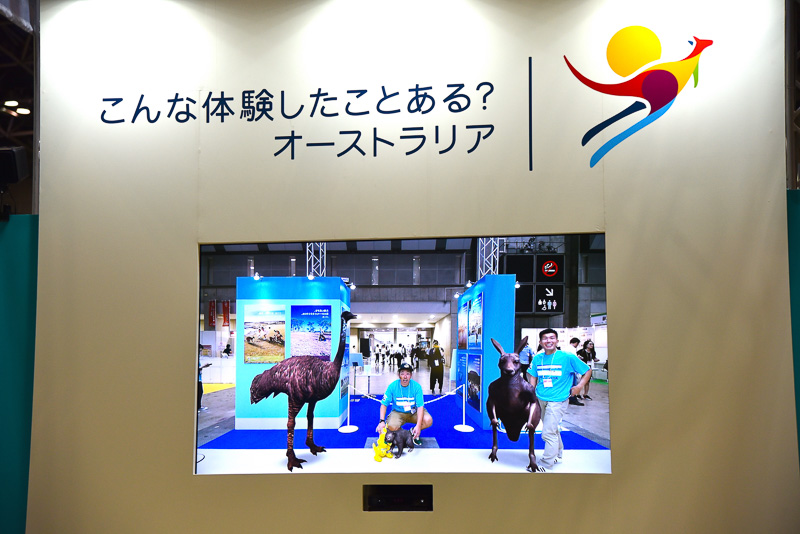 ARでオーストラリアならではのキュートな動物たちと一緒に写真が撮れる