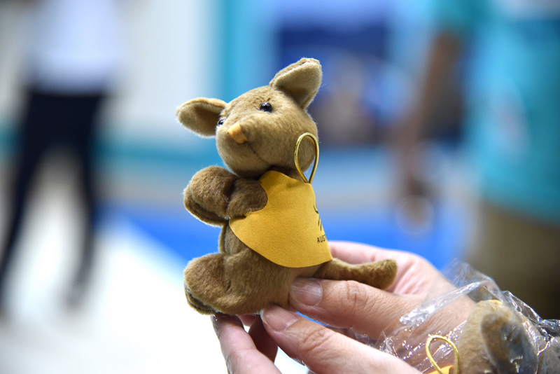 参加者全員にコアラ、またはカンガルーのぬいぐるみマグネットをプレゼント