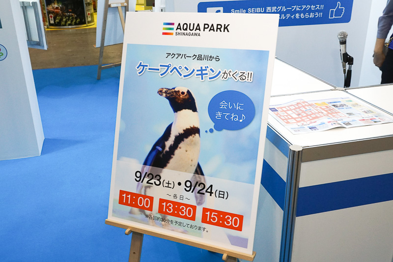 アクアパーク品川から来るケープペンギンのショー。各日3回行なわれる